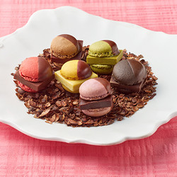 ［ソイルチョコレート＆マメイルナマチョコレートマカロン］MAMEIL チョコ&ピスタチオ&コーヒー&ブラッドオレンジ&クレームブリュレ&アールグレイプルーン