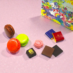 ［ダロワイヨ レ マカロン］ショコラニャカロン詰め合わせ ドゥ