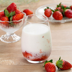 ［セゾンファクトリー］いちごミルクの素