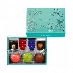 ［ダロワイヨ］ショコラマカロン詰め合わせドゥ