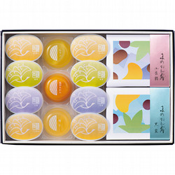 〈京菓匠 鶴屋吉信〉京風冷菓13個入