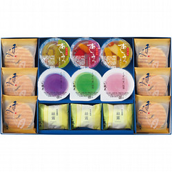 〈京菓子處 鼓月〉京菓子銘菓詰合せ