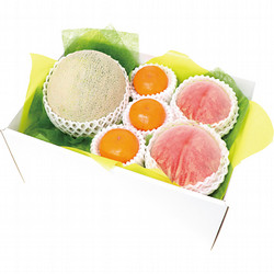〈フルーツショップ青木〉夏の贈り物フルーツギフトA