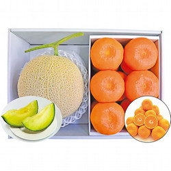鹿児島産メロン＆ハウスみかんセット