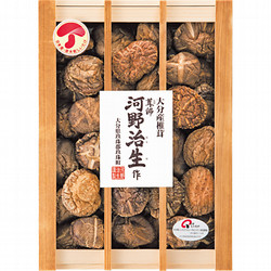 河野治生作大分産どんこ椎茸