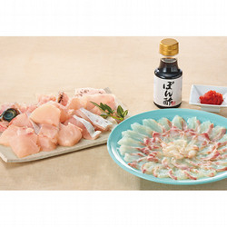 〈ふくます水産〉天然あら（くえ）刺鍋セット