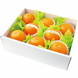 〈フルーツショップ青木〉紅まどんな 1.5㎏