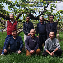 【13】［船橋第一共撰梨部会(船橋産)］あきづき梨 約5kg（10～14個入り）