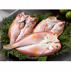 のどぐろとあま鯛の干物