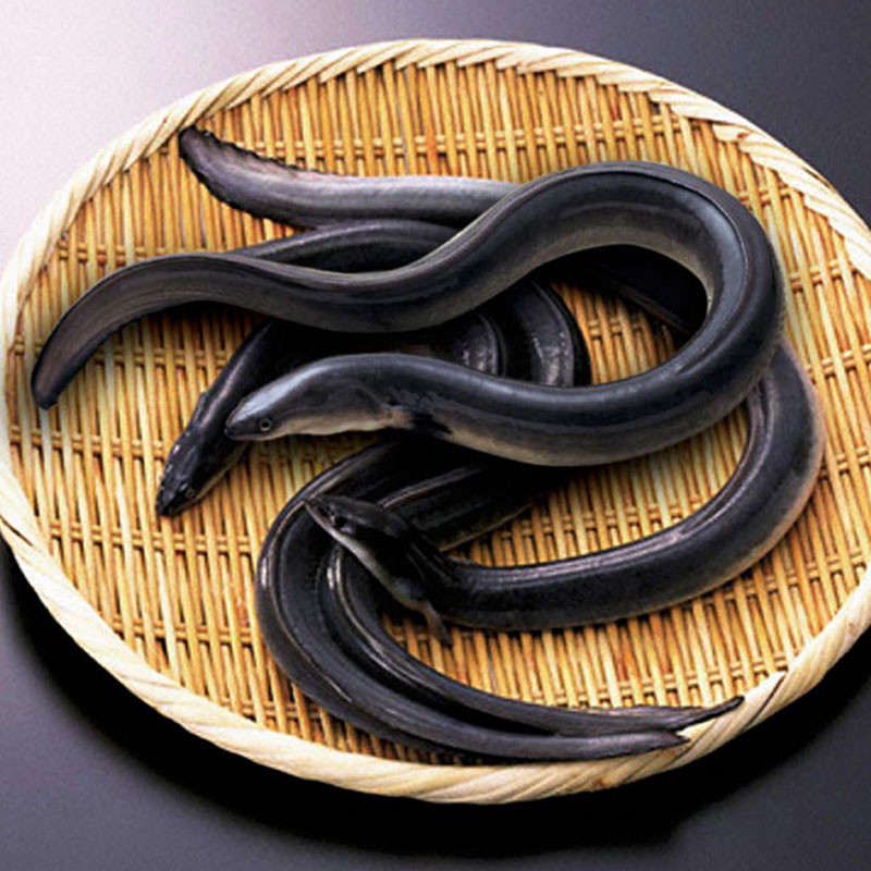 ［浜名湖うなぎ］蒲焼き・うな茶漬けセット（4人前）/国産鰻　浜松直送冷凍便/商品代引不可 【無添加タレの浜名湖うなぎ】蒲焼 約110g×2尾 2人前 ギフト【送料無料】国産鰻の最高峰 浜名湖産 産地限定 添加物不使用 ウナギ 鰻 蒲焼 国産  国内産 静岡県産 高級 プレゼント 誕生日 母の日 父の日 土用 丑の日 お中元 暑中お見舞い 敬老