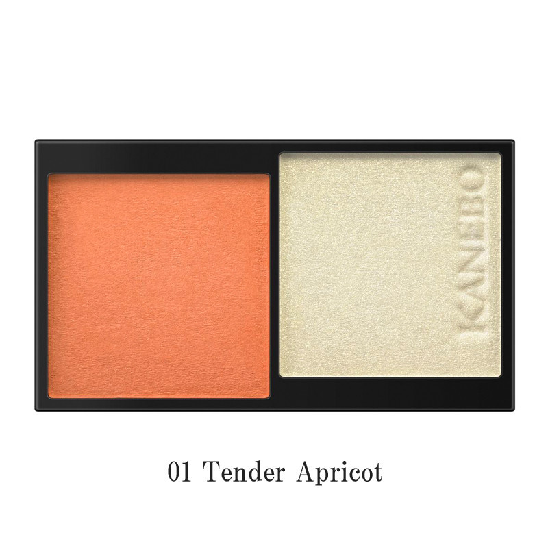 カネボウ］ムードブースティングブラッシュ(レフィル) - Cosmetic@TOBU