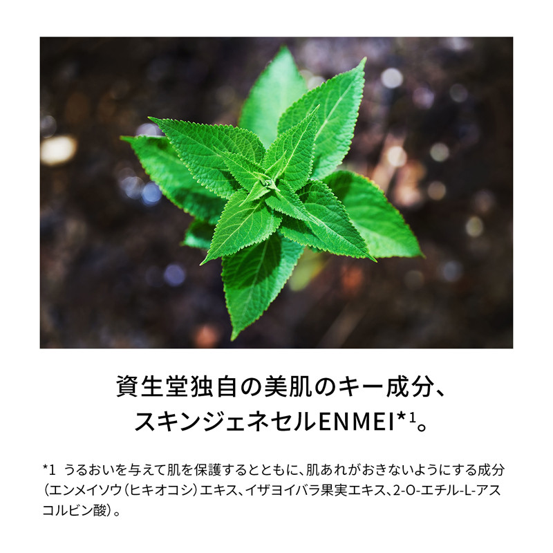 SHISEIDO フューチャーソリューション LX レジェンダリーEN