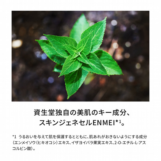 SHISEIDO フューチャーソリューション LX レジェンダリーEN