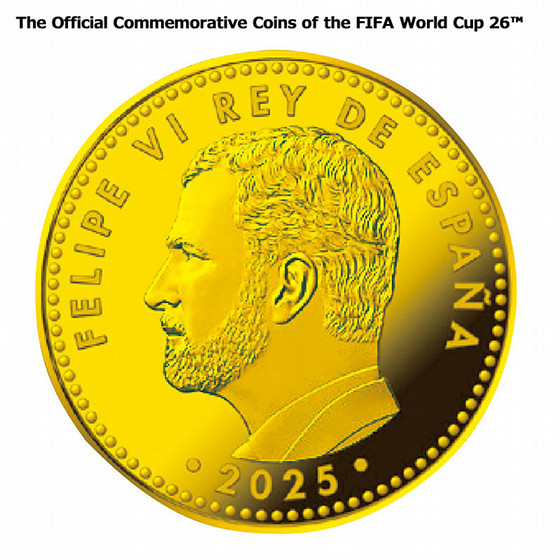 2010 FIFA ワールドカップ サッカー W杯 南アフリカ大会 記念