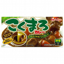 ハウス こくまろカレー 中辛 140g×10