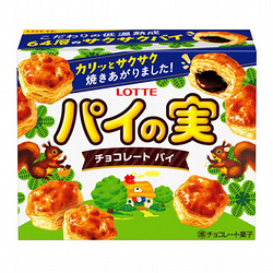 ロッテ パイの実 73g×10