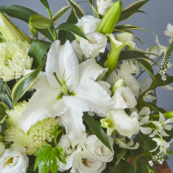 フラワーアレンジメントD アレンジメントL「蜜柑 mikan」エレガントシックなビタミンカラー