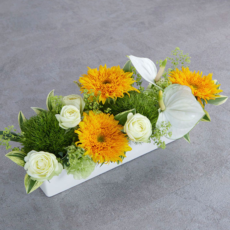 kasei 花群生 ブラック 3匹セット D.STYLE flowers（ディー・スタイル フラワーズ）］【夏の生花