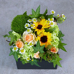 ［D.STYLE flowers（ディー・スタイル フラワーズ）］【夏のおまかせBOXアレンジメント】 イエロー × オレンジ