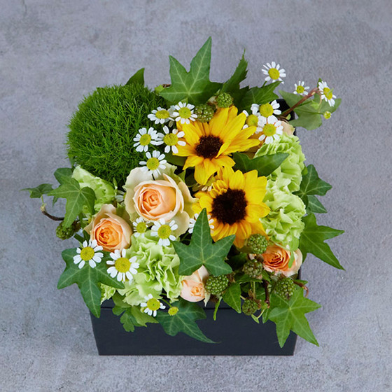 D.STYLE flowers（ディー・スタイル フラワーズ）］【夏のおまかせBOX
