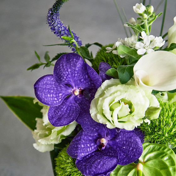 フラワーアレンジメントD D.STYLE flowers（ディー・スタイル フラワーズ）］＜お供え生花