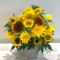 ［D.STYLE flowers（ディー・スタイル フラワーズ）］【季節の生花アレンジメント】太陽の贈り物【池袋店舗受取】
