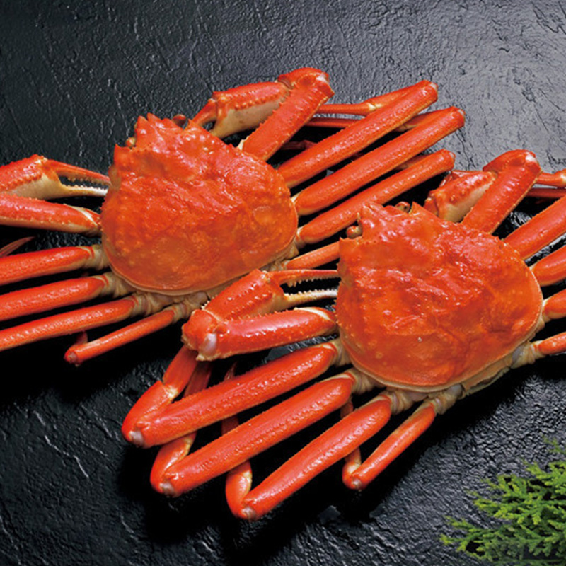 【送料込み】［札幌蟹販］冷凍ずわいがに姿2尾