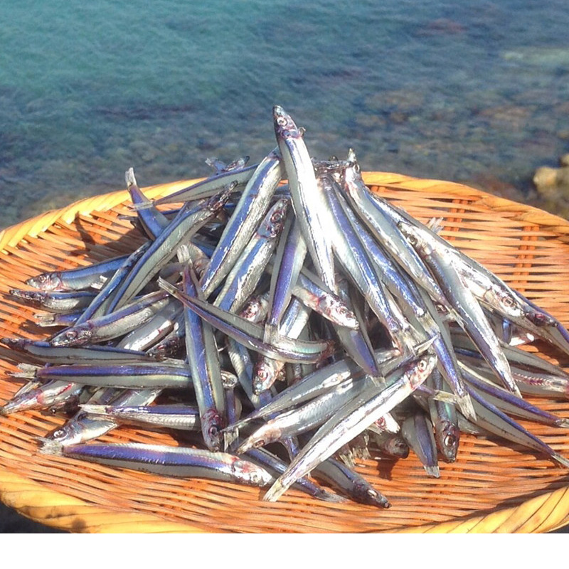 【送料込み】［馬場水産加工場］きびなご天日干し