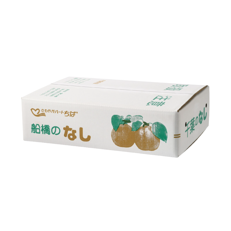 【18】［船橋産］新高梨 約5kg（6～9個入り）