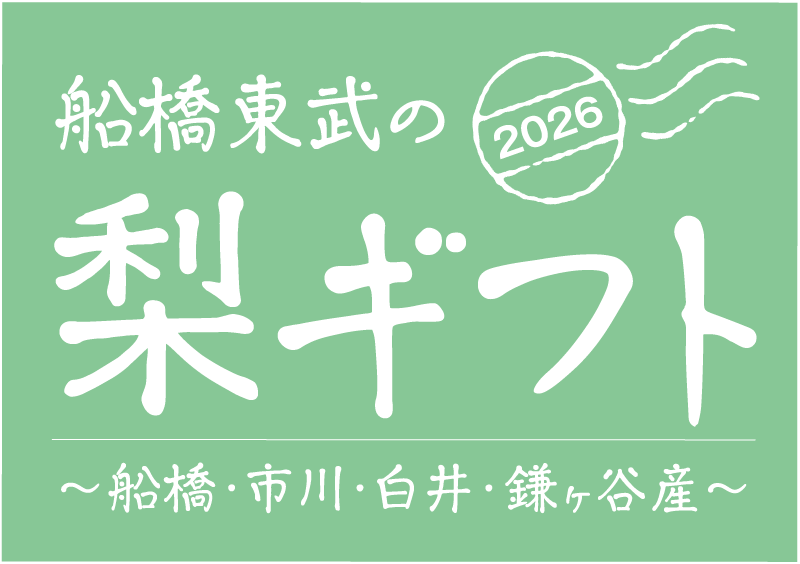 船橋東武の梨ギフト
