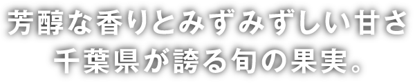 芳醇な香りとみずみずしい甘さ千葉県が誇る旬の果実。