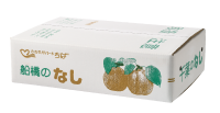 船橋の梨箱