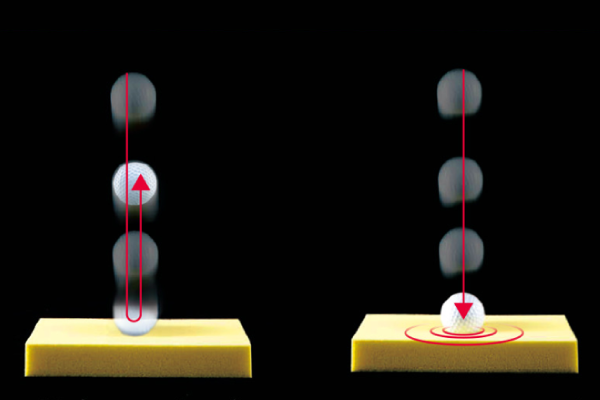 チェストベルト画像