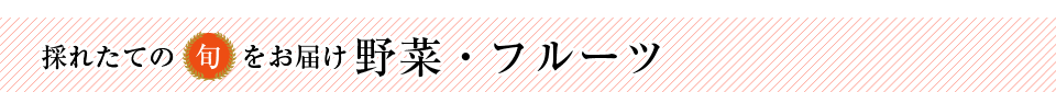 採れたての旬をお届け　野菜・フルーツ