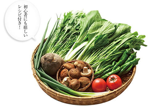 初心者にも嬉しいレシピ付き！