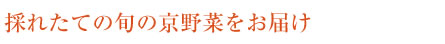 採れたての旬の京野菜をお届け