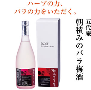 五代庵　朝積みのバラ梅酒