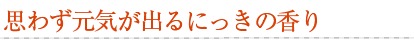 思わず元気が出るにっきの香り
