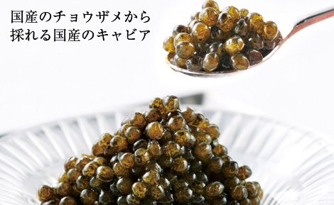 国産のチョウザメから採れる国産のキャビア