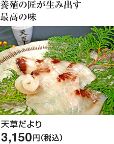 天草だより：3,150円（税込）