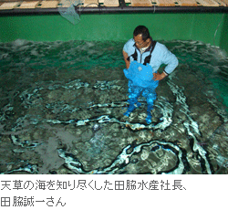 天草の海を知り尽くした田脇水産社長、田脇誠一さん