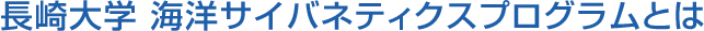 長崎大学 海洋サイバネティクスプログラムとは