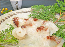天草便り