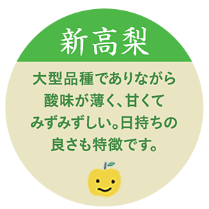 新高梨