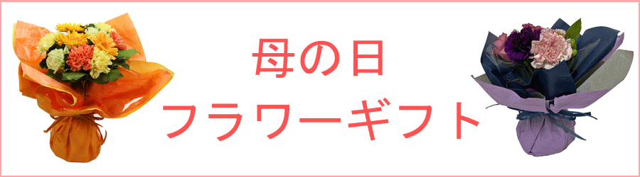 Orpj0dp4n66efm Orpj0dp4n66efm