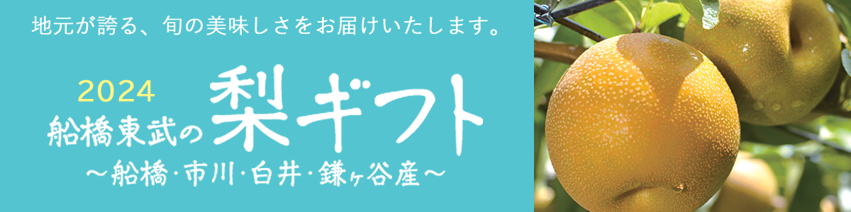 船橋東武の梨ギフト