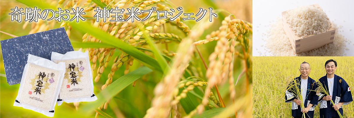 奇跡のお米 神宝米（かむたからまい）
