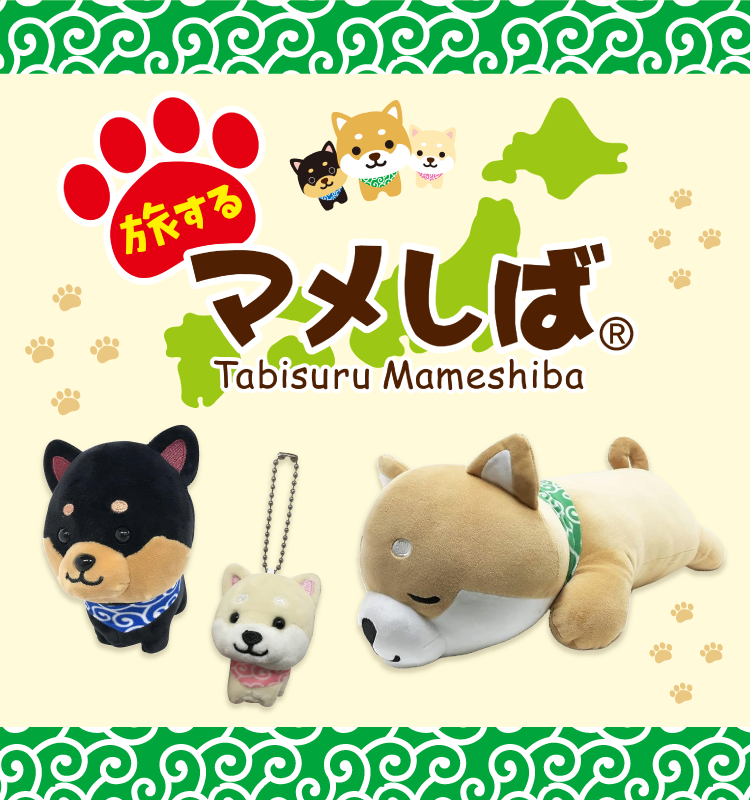 2026 マメしばpop up