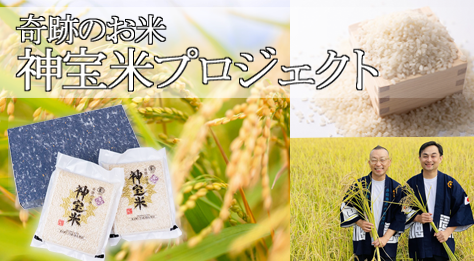 からだにやさしいくらし