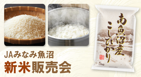 新米（令和7年産）